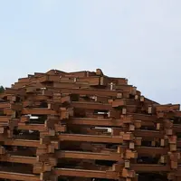 彫刻の森美術館の写真・動画_image_266430