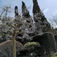 箱根ガラスの森美術館の写真・動画_image_266431