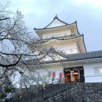 小田原城の写真・動画_image_266446