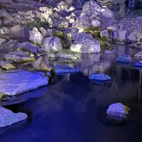 六義園の写真・動画_image_266462