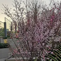 東京ミッドタウン日比谷 の写真・動画_image_266473