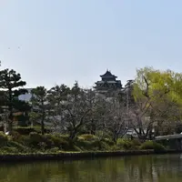 ぐるっと松江堀川めぐりの写真・動画_image_266572