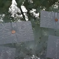 八重垣神社の写真・動画_image_266576