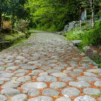 島田市観光協会の写真・動画_image_272306