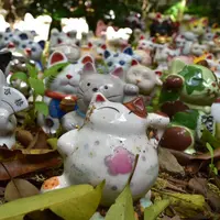 淡島神社の写真・動画_image_273103