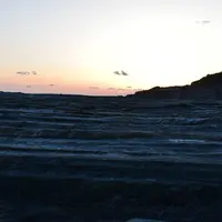 志原千畳敷の写真・動画_image_273109