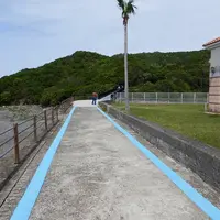 鳥毛洞窟の写真・動画_image_273114