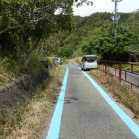 鳥毛洞窟の写真・動画_image_273115