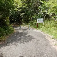 鳥毛洞窟の写真・動画_image_273116