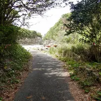 鳥毛洞窟の写真・動画_image_273117