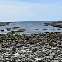 鳥毛洞窟の写真・動画_image_273119