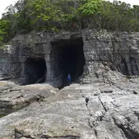 鳥毛洞窟の写真・動画_image_273121