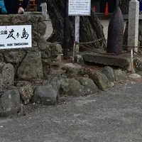 友ヶ島の写真・動画_image_273137