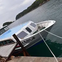 友ヶ島の写真・動画_image_273138
