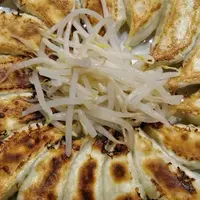 石松ぎょうざ 本店の写真・動画_image_278712