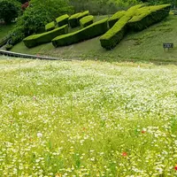 奥殿陣屋の写真・動画_image_279398