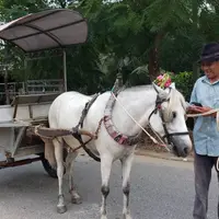 tp. Mỹ Thoの写真・動画_image_279597