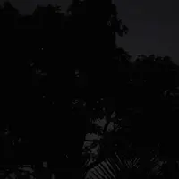 tp. Mỹ Thoの写真・動画_image_279602