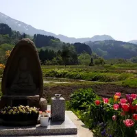 ほのぼの観音の写真・動画_image_279902