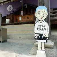 曼荼羅寺の写真・動画_image_281156