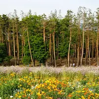 信州スカイパークの写真・動画_image_281245