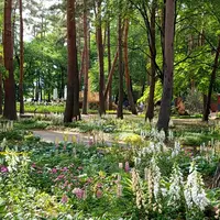 信州スカイパークの写真・動画_image_281250