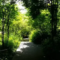 そば処あさかわの写真・動画_image_281646