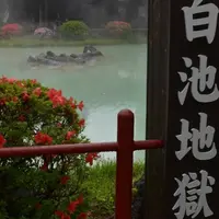 別府地獄めぐりの写真・動画_image_284295