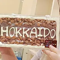 新千歳空港の写真・動画_image_285951