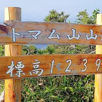 星野リゾート トマム ホタルストリートの写真・動画_image_290129