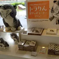 京都国立博物館の写真・動画_image_291752