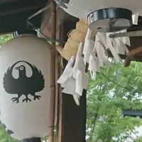 川越熊野神社の写真・動画_image_292955