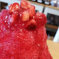 笠森観音の写真・動画_image_295125