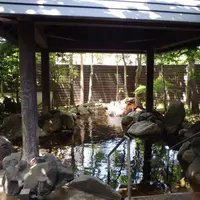 阿蘇坊中温泉夢の湯の写真・動画_image_2970