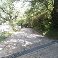 御殿山公園の写真・動画_image_29737