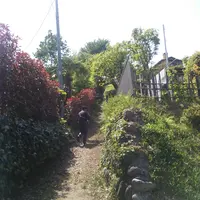 千手山公園の写真・動画_image_29743