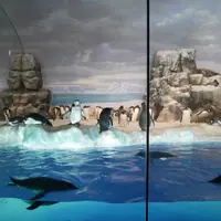 名古屋港水族館の写真・動画_image_299341