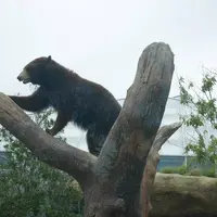 神戸どうぶつ王国の写真・動画_image_299358