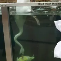神戸どうぶつ王国の写真・動画_image_299360