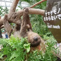 神戸どうぶつ王国の写真・動画_image_299362