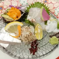 渚の荘 花季の写真・動画_image_299370