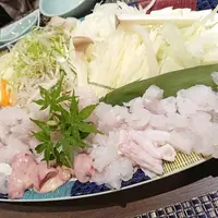 渚の荘 花季の写真・動画_image_299382