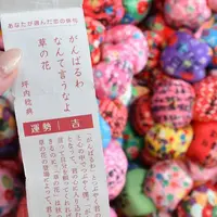 圓満寺の写真・動画_image_301518