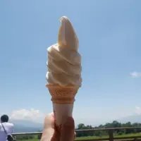 清泉寮ジャージーハットの写真・動画_image_301583