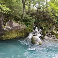 憾満ヶ淵の写真・動画_image_302603