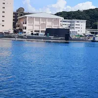 ヴェルニー公園の写真・動画_image_303734