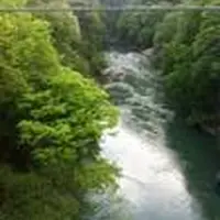 老神温泉 日帰り 湯元華亭の写真・動画_image_31168