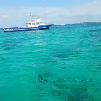 スマイルフィッシュ Smile Fish IRIOMOTEJIMAの写真・動画_image_312462