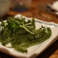 てっぺんの写真・動画_image_312612