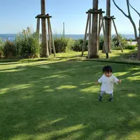 大磯プリンスホテルの写真・動画_image_316005